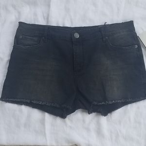 STS Blue Aubrey Shorts New